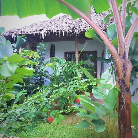 Valerie Lodge San Vicente  Dış mekan fotoğraf